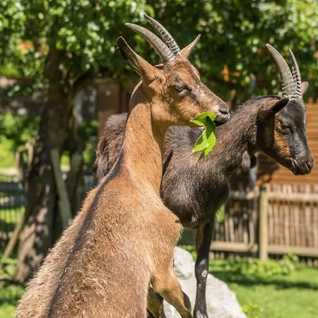 Im Tobel Сasa de vacaciones