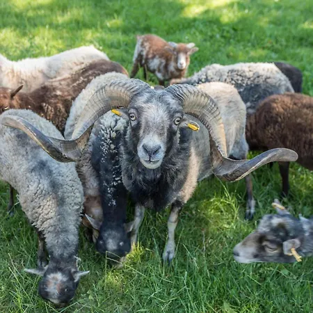 Im Tobel * Deggenhausertal
